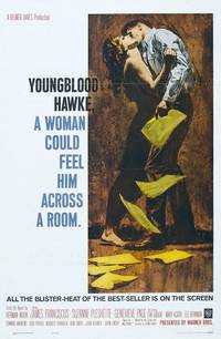 Постер Молодой Хоук