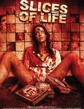 Постер из фильма "Slices of Life" - 1