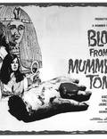 Постер из фильма "Кровь из гробницы мумии" - 1