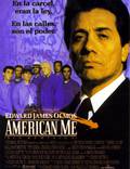 Постер из фильма "Американизируй меня" - 1