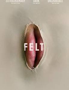 Felt