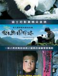 Постер из фильма "След панды" - 1