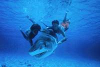 Кадр Ловец акул с острова Бора-Бора