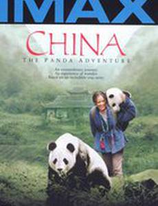 Китай: Приключение панды