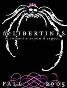 The Libertines (видео)