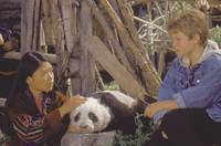 Кадр Удивительное приключение панды