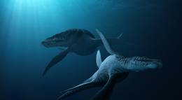 Кадр из фильма "Морские динозавры 3D: Путешествие в доисторический мир" - 1