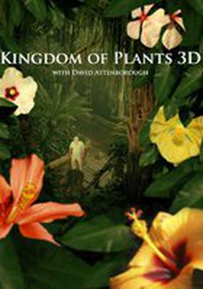 Kingdom of Plants 3D