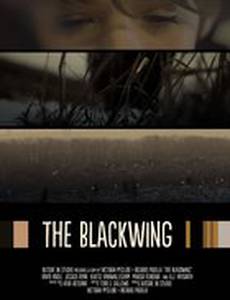 The Blackwing
