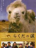 Постер из фильма "Рассказ плачущего верблюда" - 1