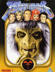 Terrahawks