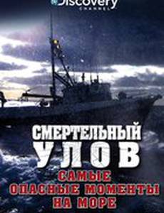 Смертельный улов: Самые опасные моменты на море