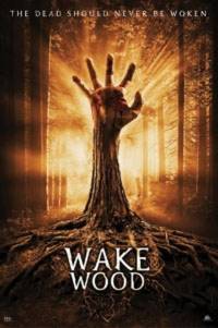 Постер Пробуждающийся лес