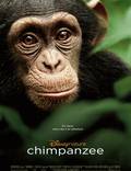 Постер из фильма "Шимпанзе" - 1