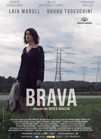 Постер Brava