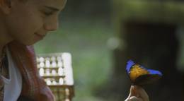 Кадр из фильма "Голубая бабочка" - 1