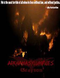 ArkhamAsylumFiles: Grayson