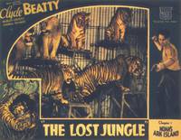 Постер Затерянные джунгли