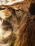 Постер из фильма "Пусть лев рычит" - 1