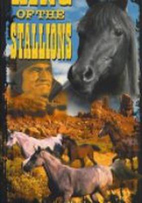 King of the Stallions