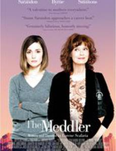 The Meddler