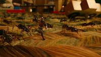 Кадр Человек-муравей 3D