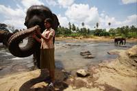 Кадр Chandani: The Daughter of the Elephant Whisperer