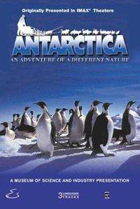 Постер Antarctica