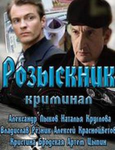 Розыскник (мини-сериал)