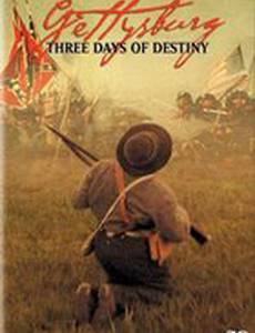 Gettysburg: Three Days of Destiny (видео)