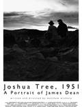 Постер из фильма "Дерево Джошуа, 1951 год: Портрет Джеймса Дина" - 1