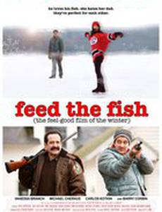 Feed the Fish