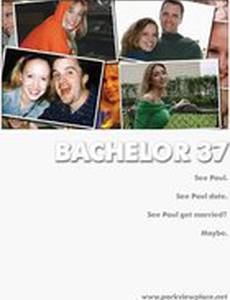 Bachelor 37