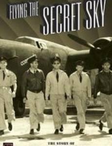 Flying the Secret Sky: The Story of the RAF Ferry Command