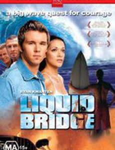 Liquid Bridge