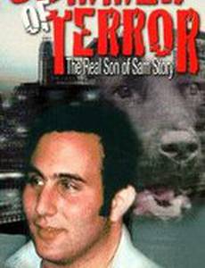 Summer of Terror: The Real Son of Sam Story