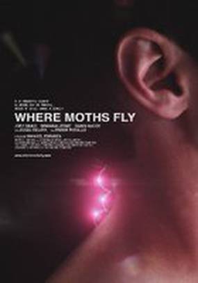 Where Moths Fly