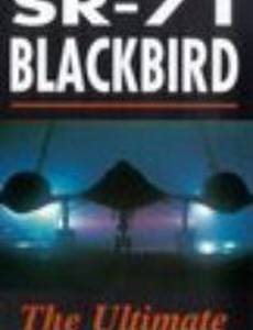SR-71 Blackbird: The Secret Vigil (видео)