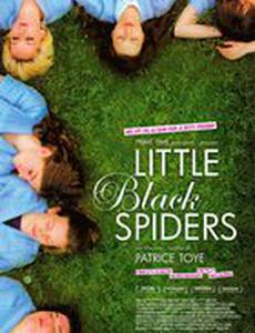 Little black spiders