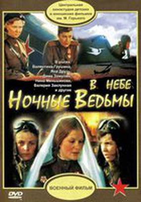 В небе «ночные ведьмы»