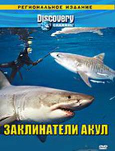 Discovery: Заклинатели акул