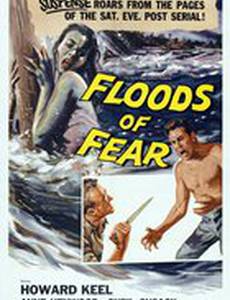 Floods of Fear