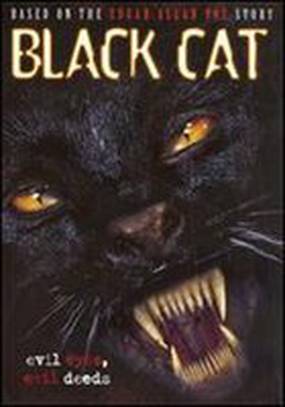 Черная кошка (видео)