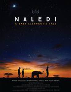 Naledi: A Baby Elephant's Tale