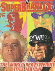 WCW СуперКубок IX