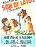 Постер из фильма "Son of Lassie" - 1