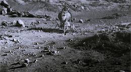 Кадр из фильма "Аполлон 18" - 1