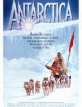 Постер из фильма "Антарктическая повесть" - 1