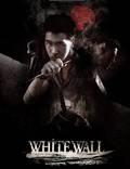 Постер из фильма "Белая стена" - 1
