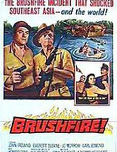 Brushfire